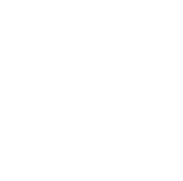 Rocky Fit Logo